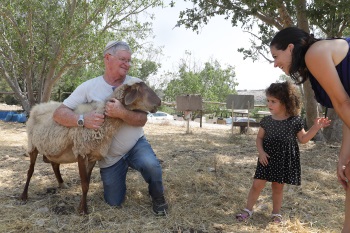 פארק נאות קדומים סיורי לילה 